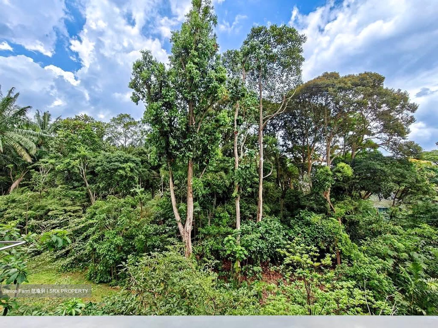 Verdale (D21), Apartment #541907861